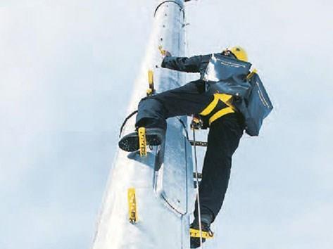 垂直生命線的三要素是什么